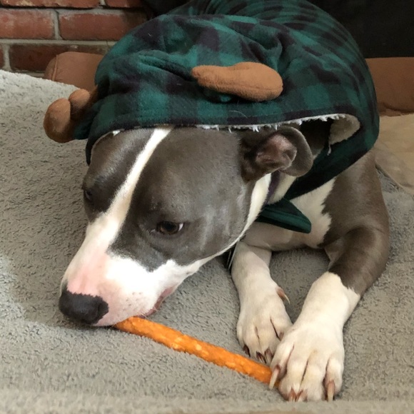 Meet your Posher, Erica - Picture 8 of 14